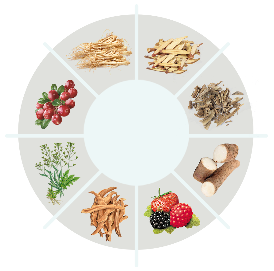 AquaFit ingredient circle