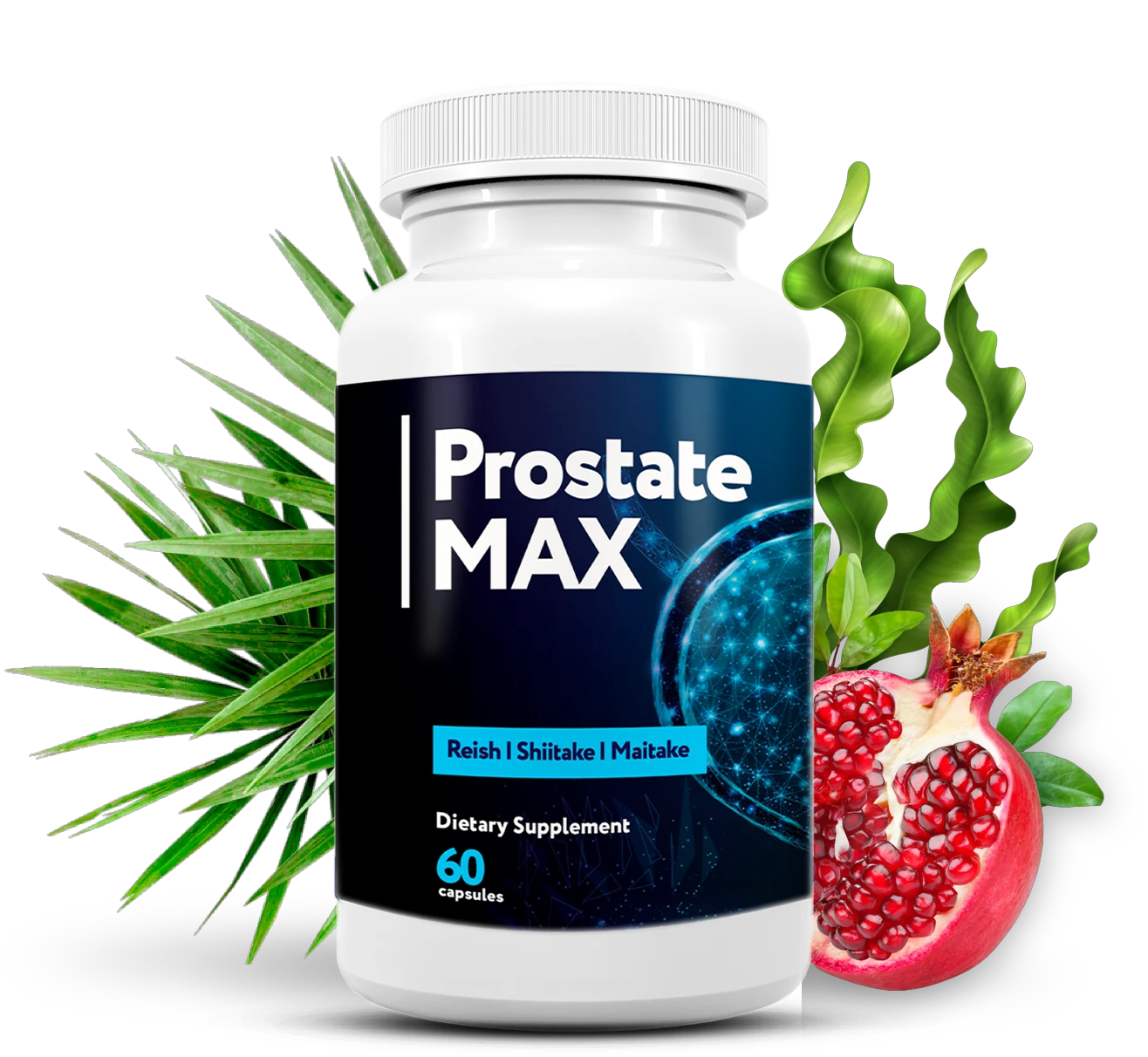 ProstateMax supplement formula ingredients visual
